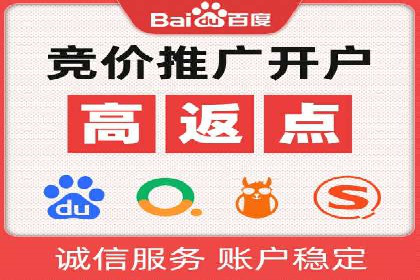百度广告投放策略优化及成功案例解析